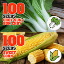idrop 100pcs SEEDS - Tomato / Egg Plant / Bell Pepper /  Coriandur Leaves / Chilli Seed / Cucumber / Choy-Sun / Sweet Corn / Long Bean / Bean / Gazania / Garden Balsam