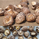 idrop 100g Dried Herbal Tea Mushroom / (100克） A1 花菇