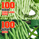 idrop 100pcs SEEDS - Tomato / Egg Plant / Bell Pepper /  Coriandur Leaves / Chilli Seed / Cucumber / Choy-Sun / Sweet Corn / Long Bean / Bean / Gazania / Garden Balsam