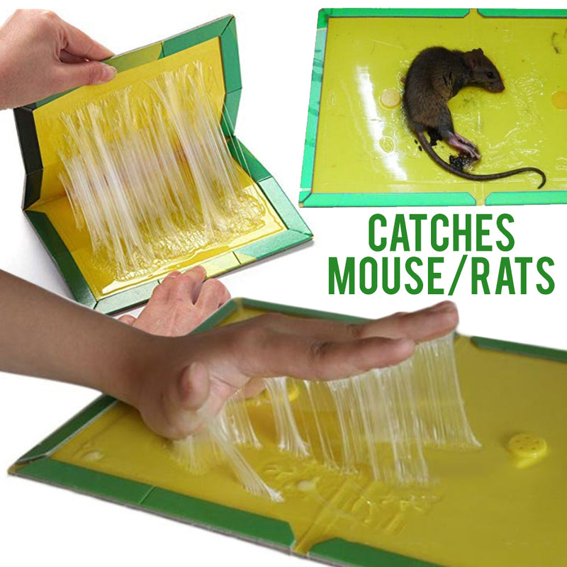 idrop Sticky Rat Mouse Foldable Adhesive Glue Trap Board [ 24cm x 17cm ]