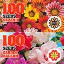 idrop 100pcs SEEDS - Tomato / Egg Plant / Bell Pepper /  Coriandur Leaves / Chilli Seed / Cucumber / Choy-Sun / Sweet Corn / Long Bean / Bean / Gazania / Garden Balsam