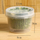 idrop Freshkeeping Plastic Container With Water Drainage For Chopped Vegetables Preservation / Bekas Penyimpanan Makanan Simpanan Potongan Sayur / 塑料葱花保鲜盒