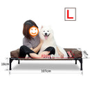 idrop Bolster Elevated Pet Dog Bed / Katil Tidur Anjing Haiwan Peliharaan / 高架宠物狗床