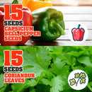 idrop 15pcs SEEDS - Tomato / Egg Plant / Bell Pepper /  Coriandur Leaves / Chilli Seed / Cucumber / Choy-Sun / Sweet Corn / Long Bean / Bean / Gazania / Garden Balsam