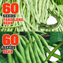 idrop 60pcs SEEDS - Tomato / Egg Plant / Bell Pepper /  Coriandur Leaves / Chilli Seed / Cucumber / Choy-Sun / Sweet Corn / Long Bean / Bean / Gazania / Garden Balsam -