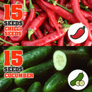 idrop 15pcs SEEDS - Tomato / Egg Plant / Bell Pepper /  Coriandur Leaves / Chilli Seed / Cucumber / Choy-Sun / Sweet Corn / Long Bean / Bean / Gazania / Garden Balsam