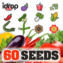 idrop 60pcs SEEDS - Tomato / Egg Plant / Bell Pepper /  Coriandur Leaves / Chilli Seed / Cucumber / Choy-Sun / Sweet Corn / Long Bean / Bean / Gazania / Garden Balsam -