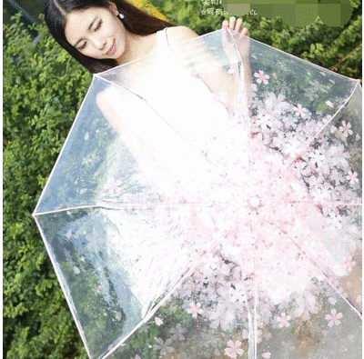 Transparent Blossom Folding Umbrella